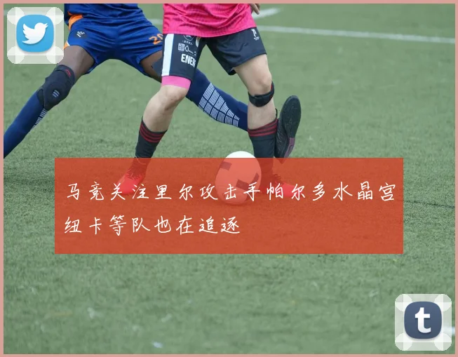 马竞关注里尔攻击手帕尔多水晶宫纽卡等队也在追逐