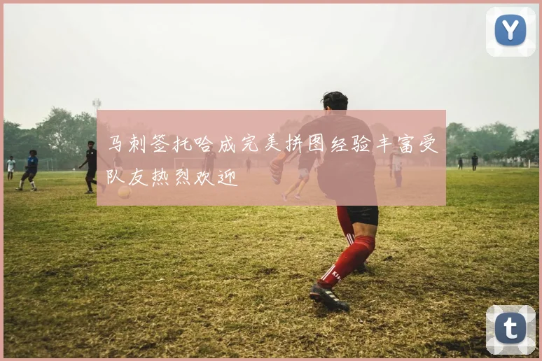 马刺签托哈成完美拼图经验丰富受队友热烈欢迎