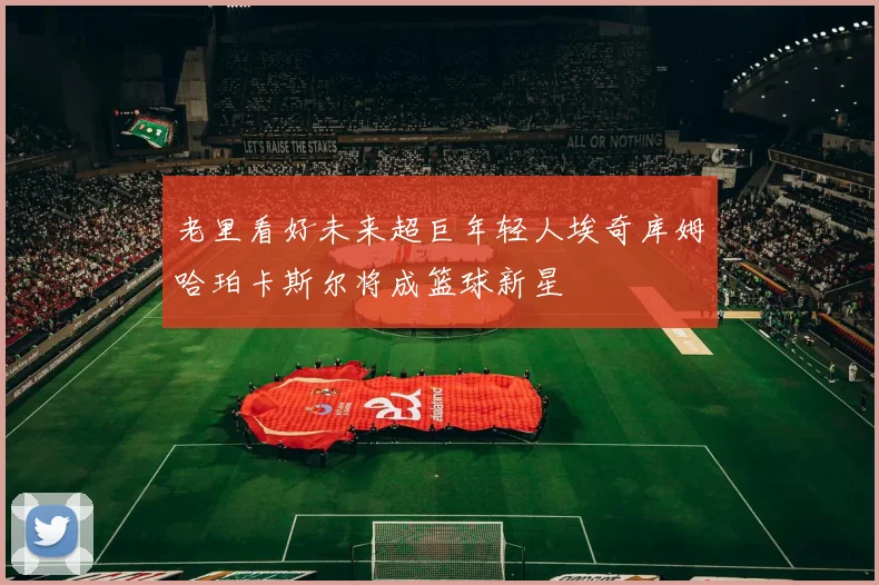 老里看好未来超巨年轻人埃奇库姆哈珀卡斯尔将成篮球新星