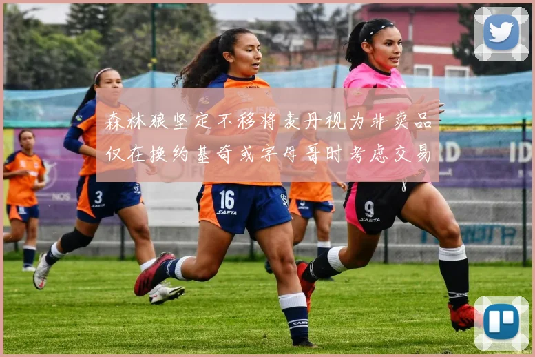 森林狼坚定不移将麦丹视为非卖品仅在换约基奇或字母哥时考虑交易